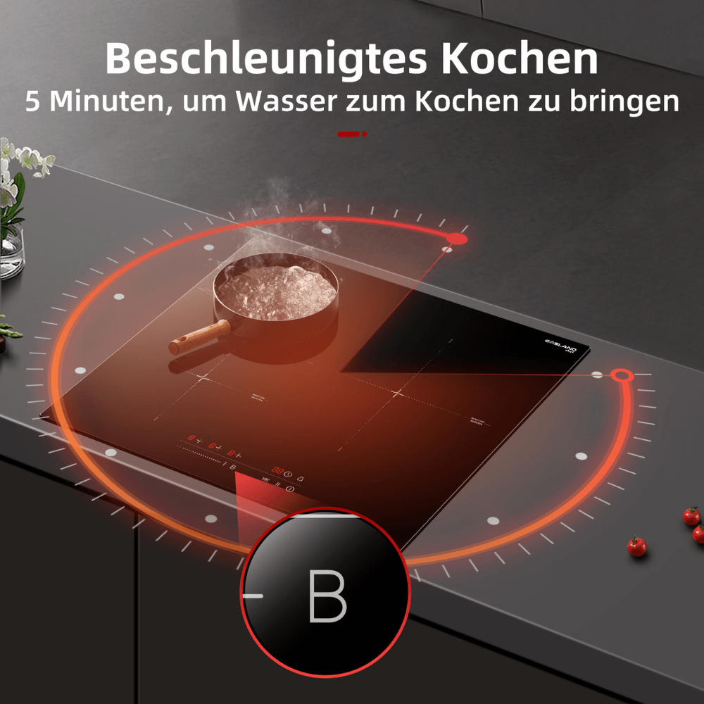 GASLAND Chef IH603BF-DE 60 cm Integrierter Induktionskochfeld 3 Zonen, 6600W Induktionsherd mit Sensor-Berührung, Boost-Funktion, Warmhaltefunktionen, Stop & Go-Funktion, Timer-Funktion