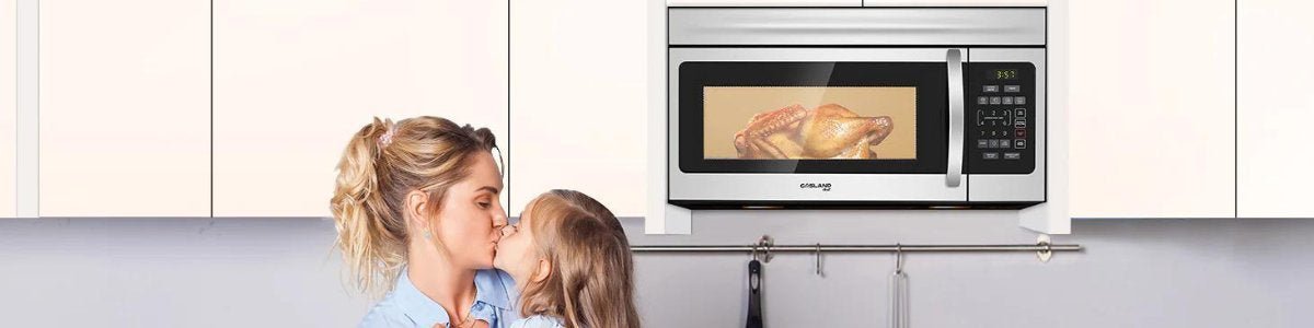 Microwave Oven - Gaslandchef
